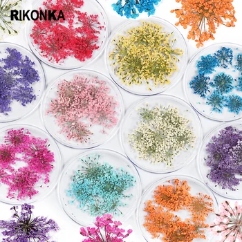 10 Kastid Kuivatatud Lill, Mix Värvi 3D-Dry Lill ehtekomplekt Maniküür Jaapani Korea poola Küüned Võlusid DIY Epoksü Käsitöö Nõuanded