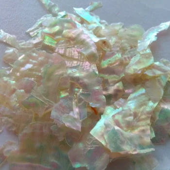 5g Nail Art Abalone Shell Ebaregulaarne Fragment 3D Küünte Võlu Teenetemärgi Viil Küünte Art Undrilled Füüsiline Kest Glitter Lible